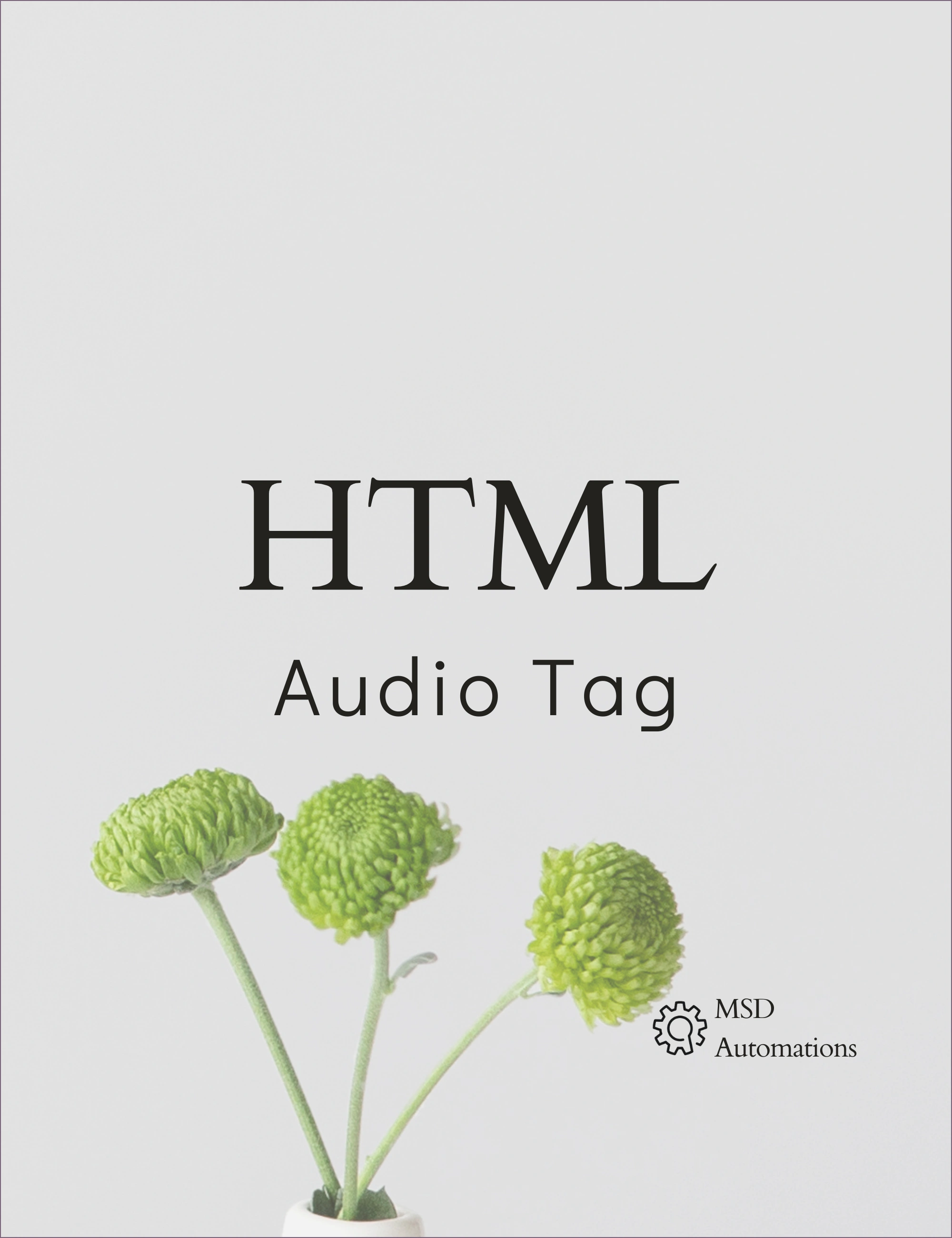 Audio Tag