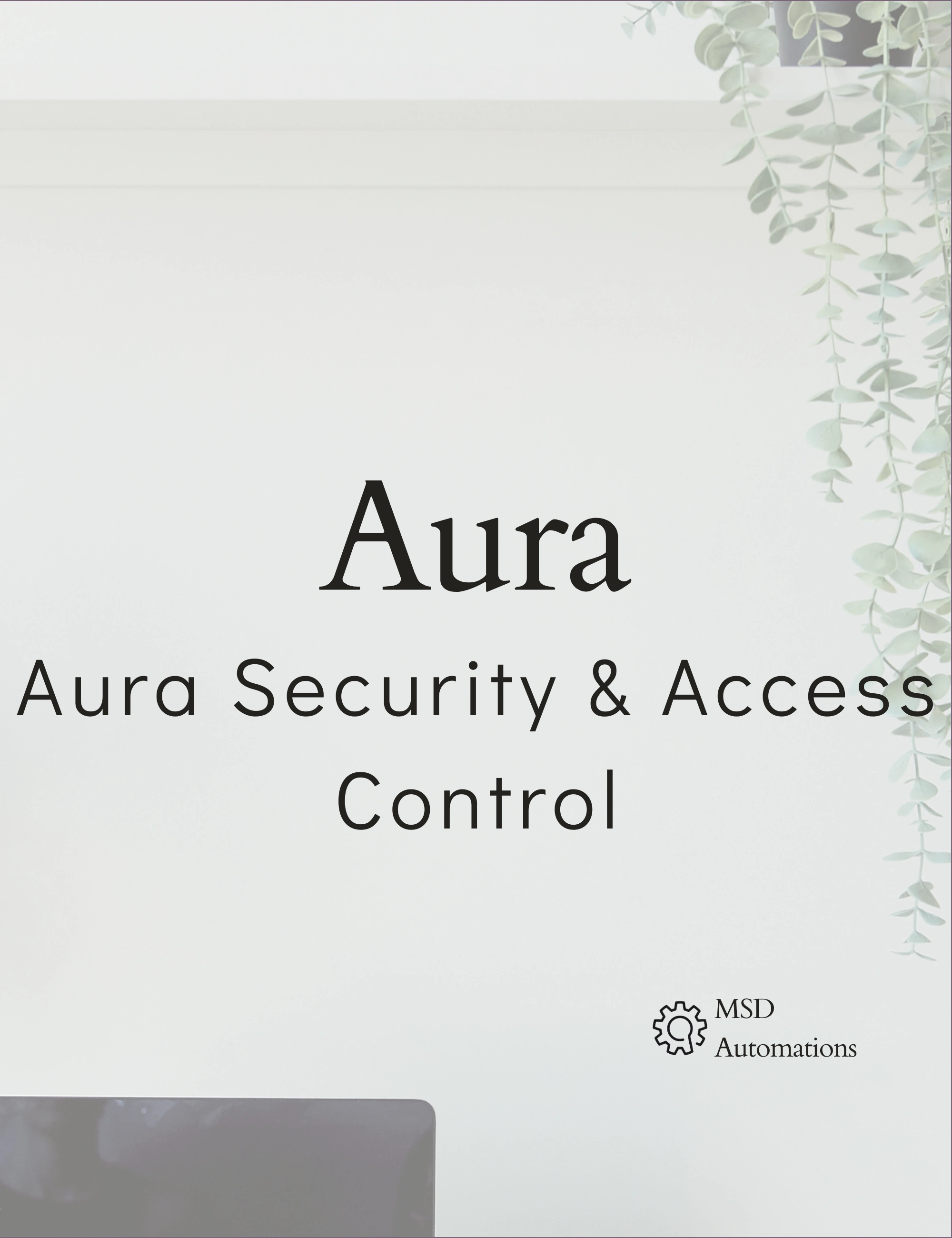 Aura Security &amp; Access Control