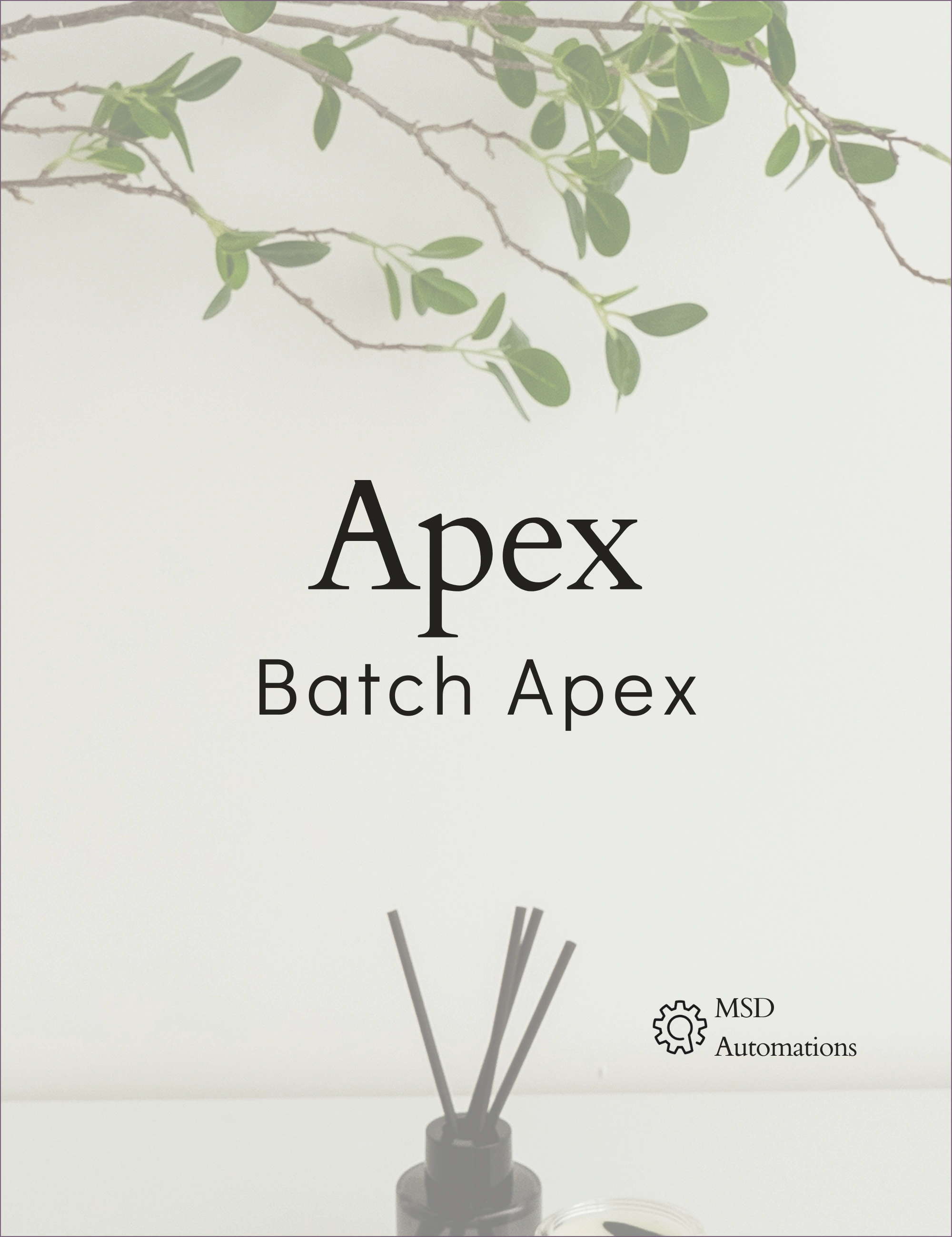 Batch Apex