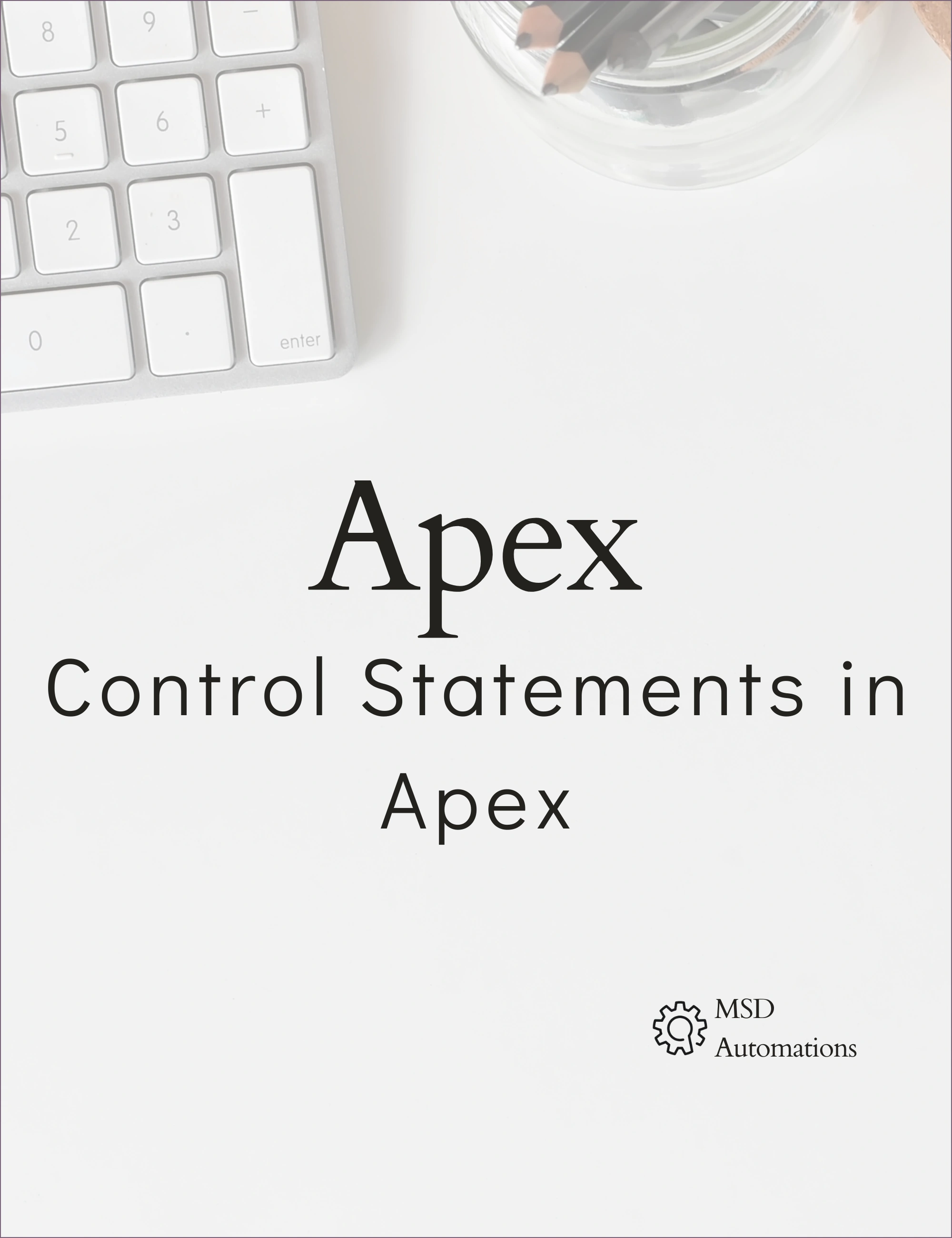 Control Statements in Apex