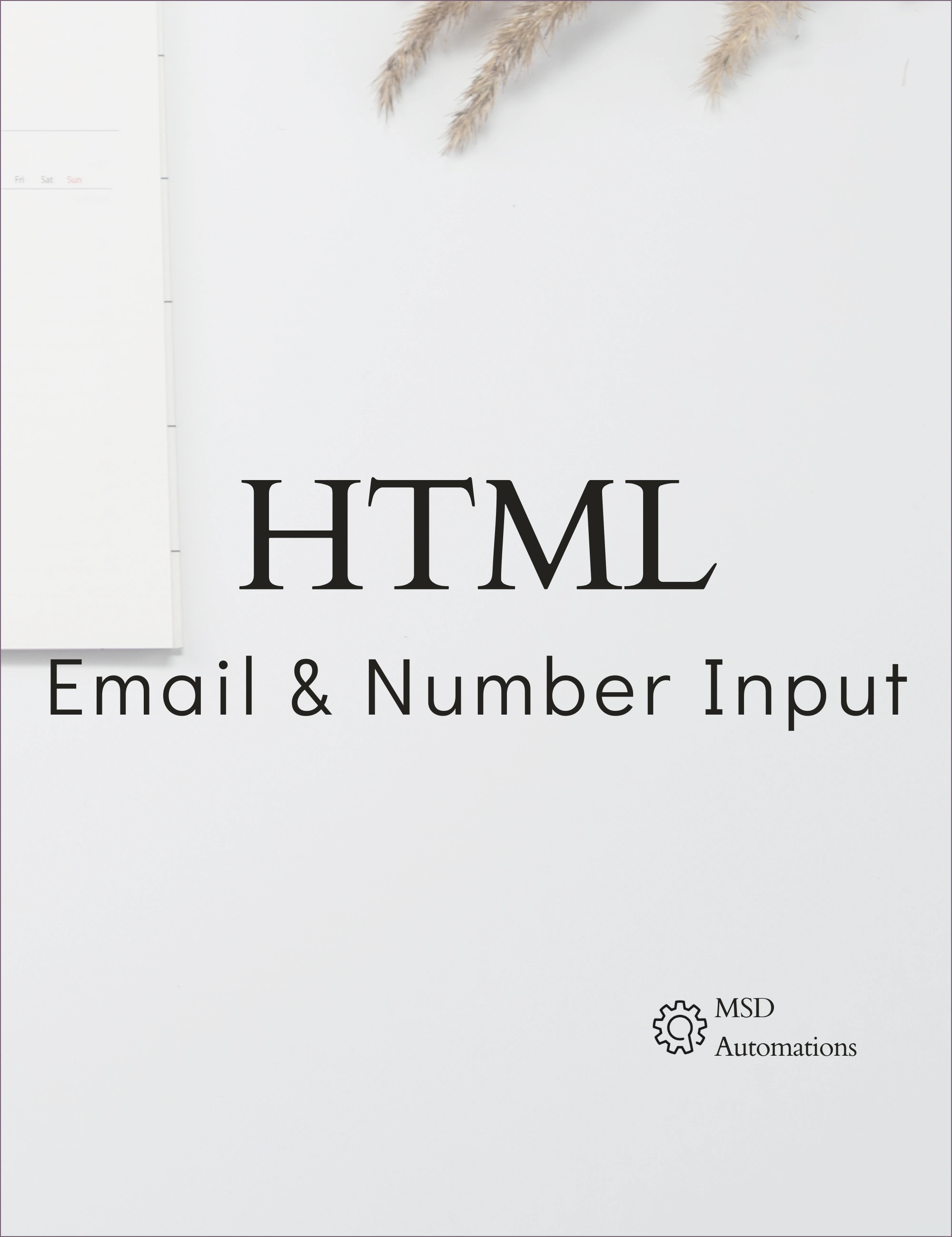 Email &amp; Number Input