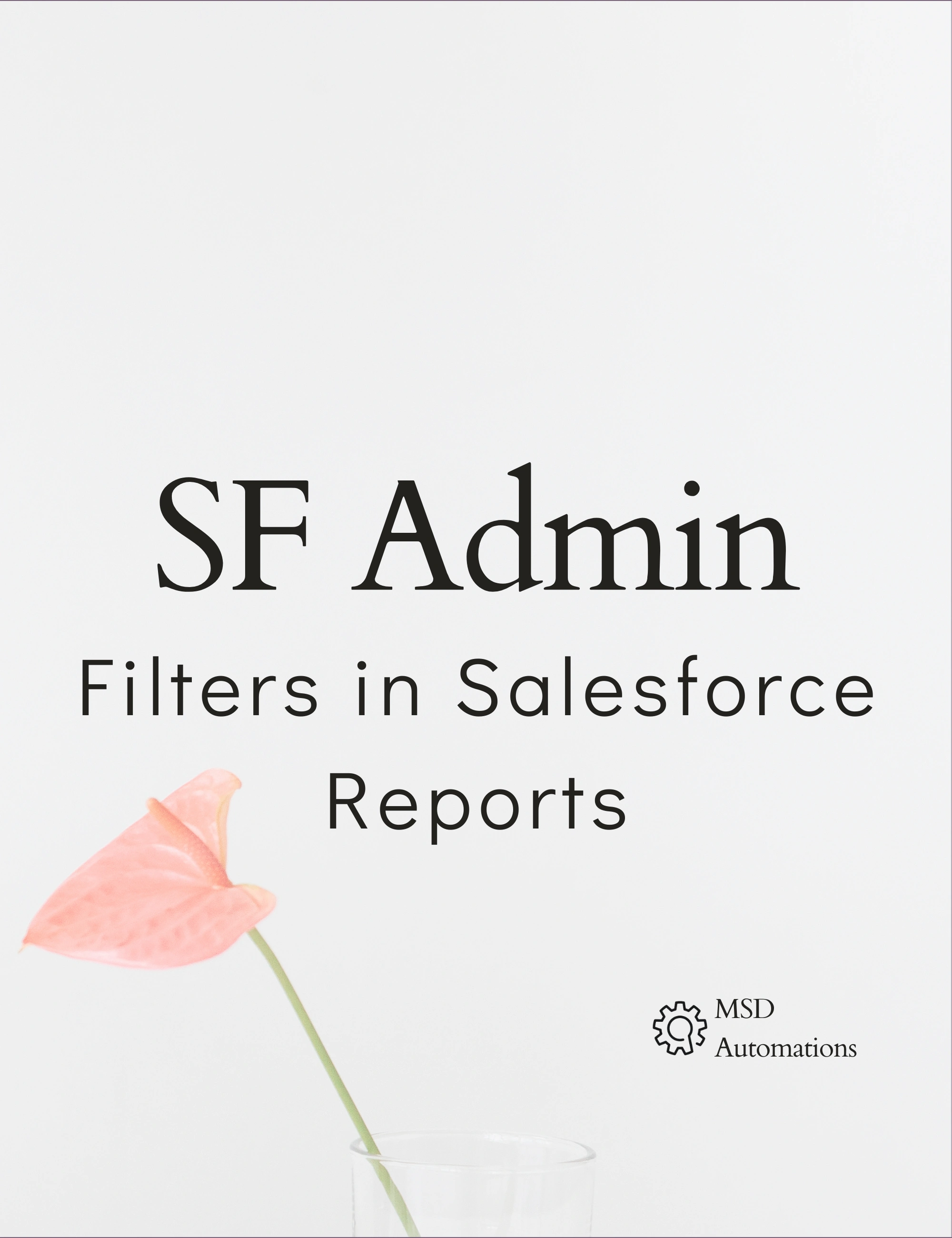 Filters in Salesforce Reports