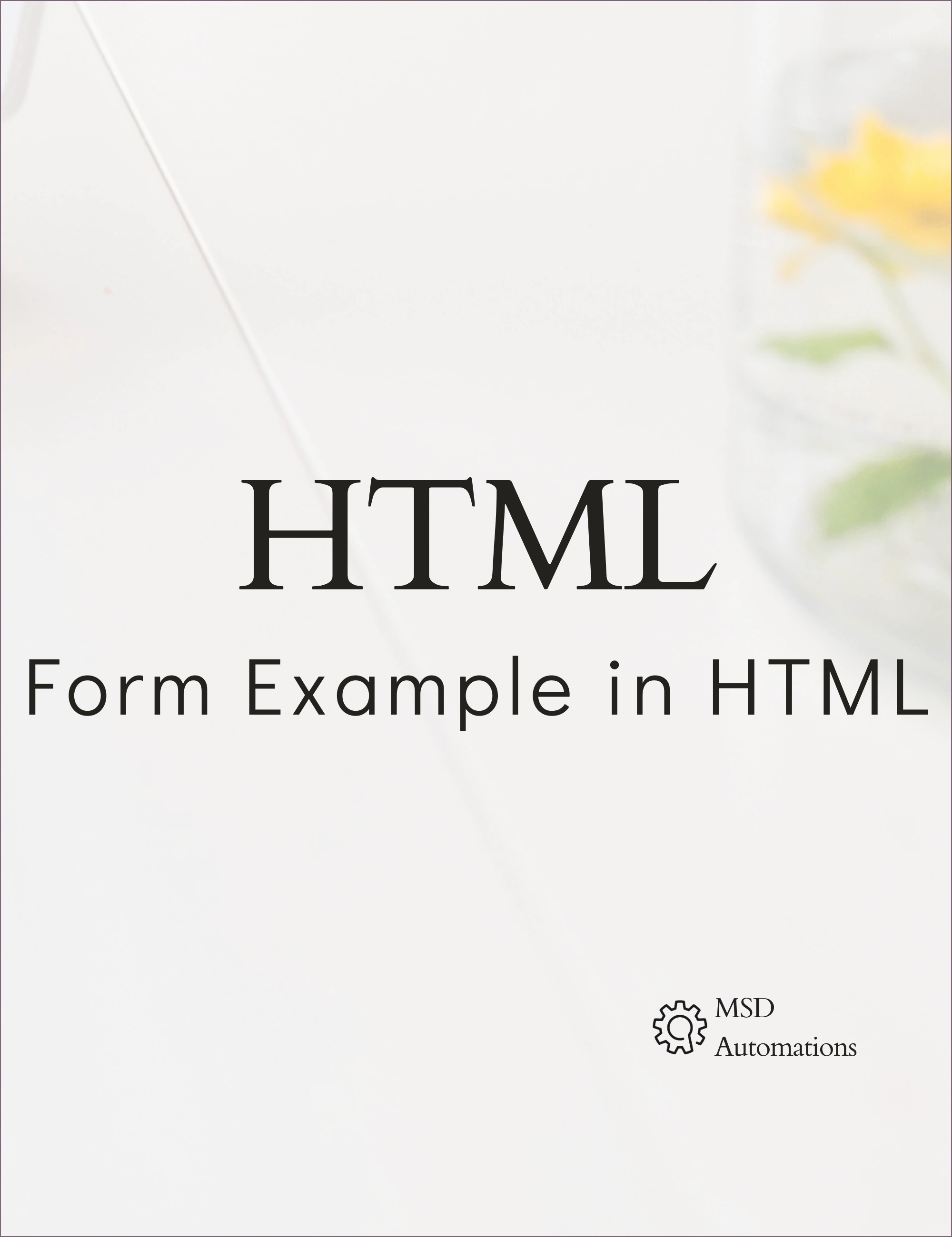 Form Example in HTML