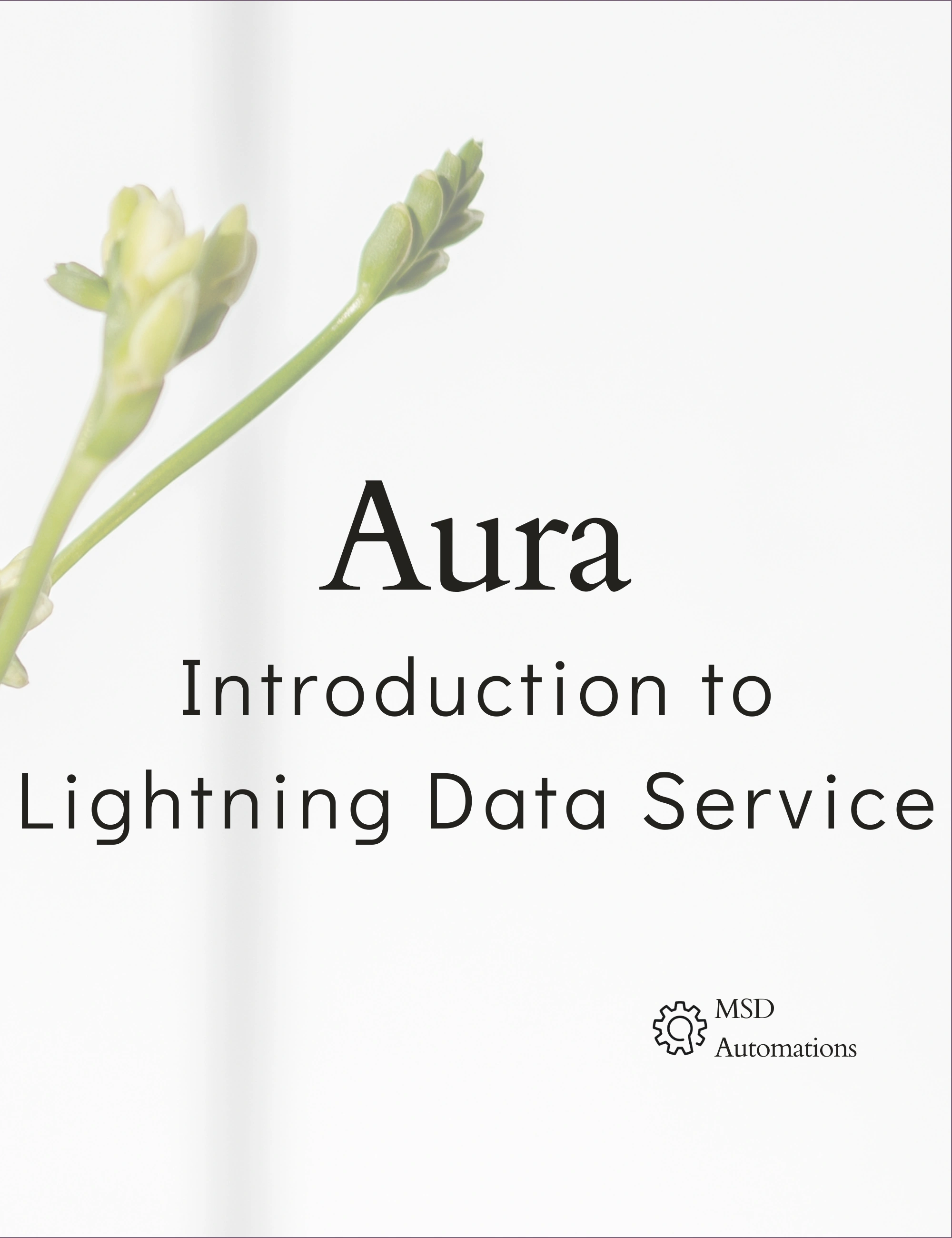 Introduction to Lightning Data Service (LDS)
