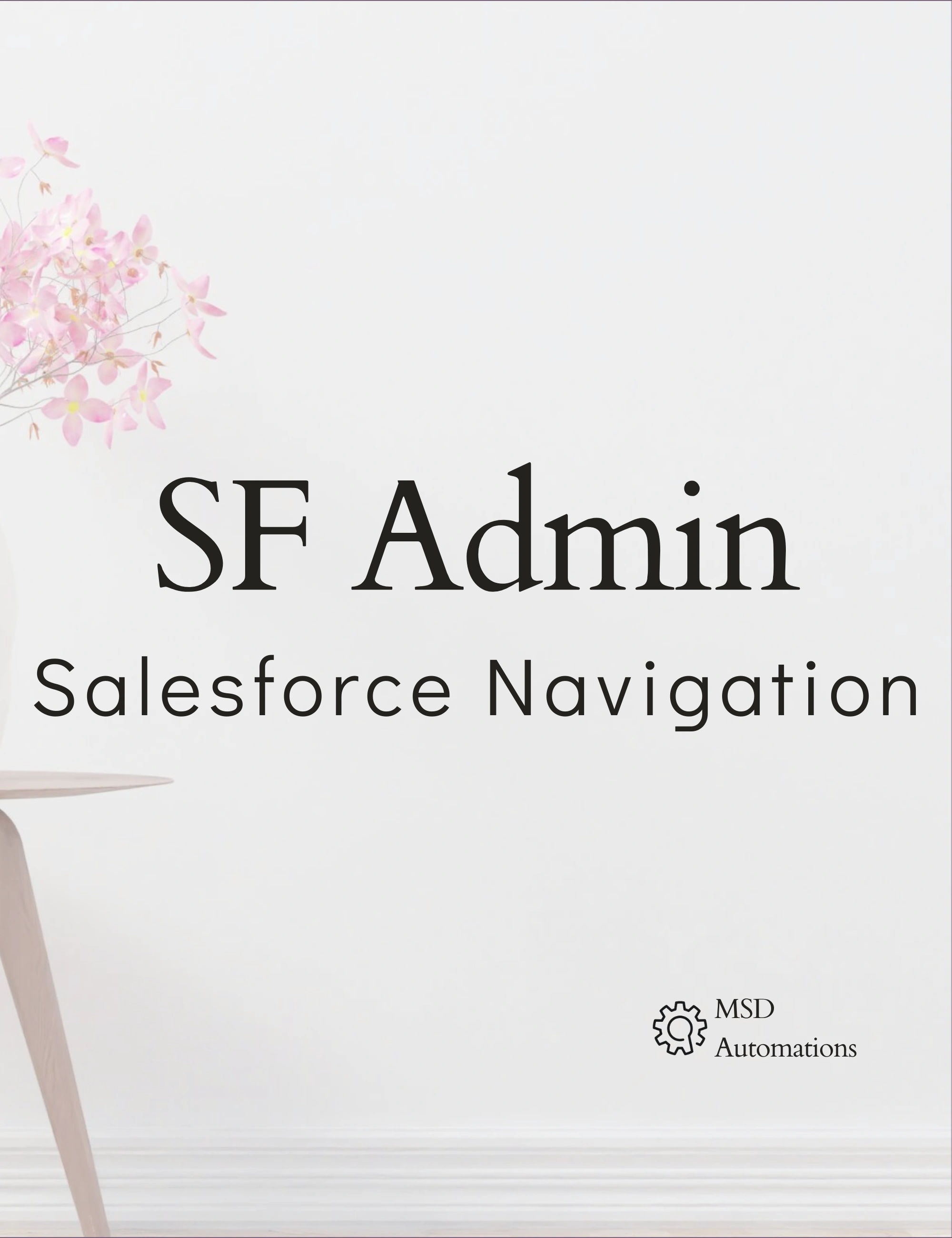 Salesforce Navigation