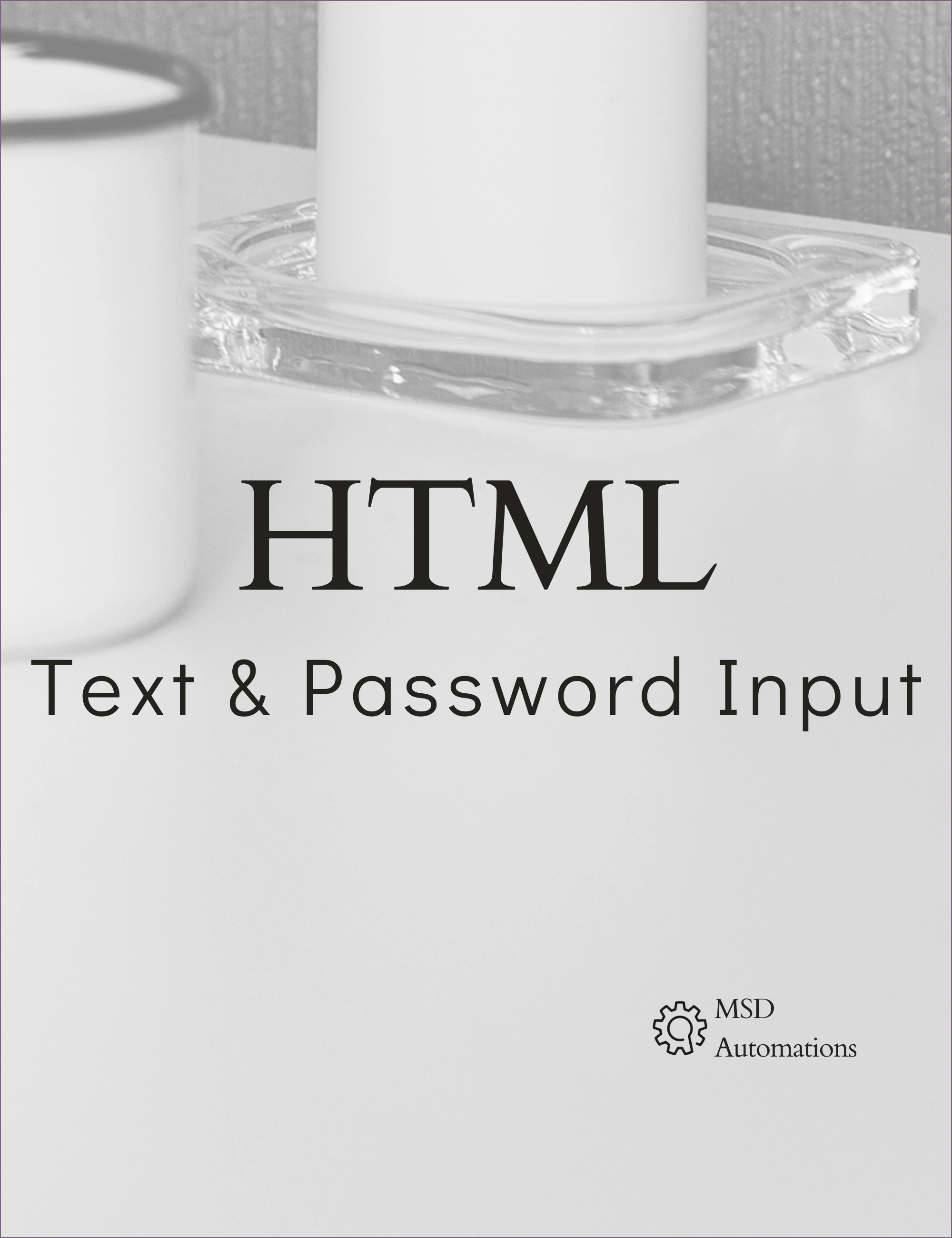 Text &amp; Password Input