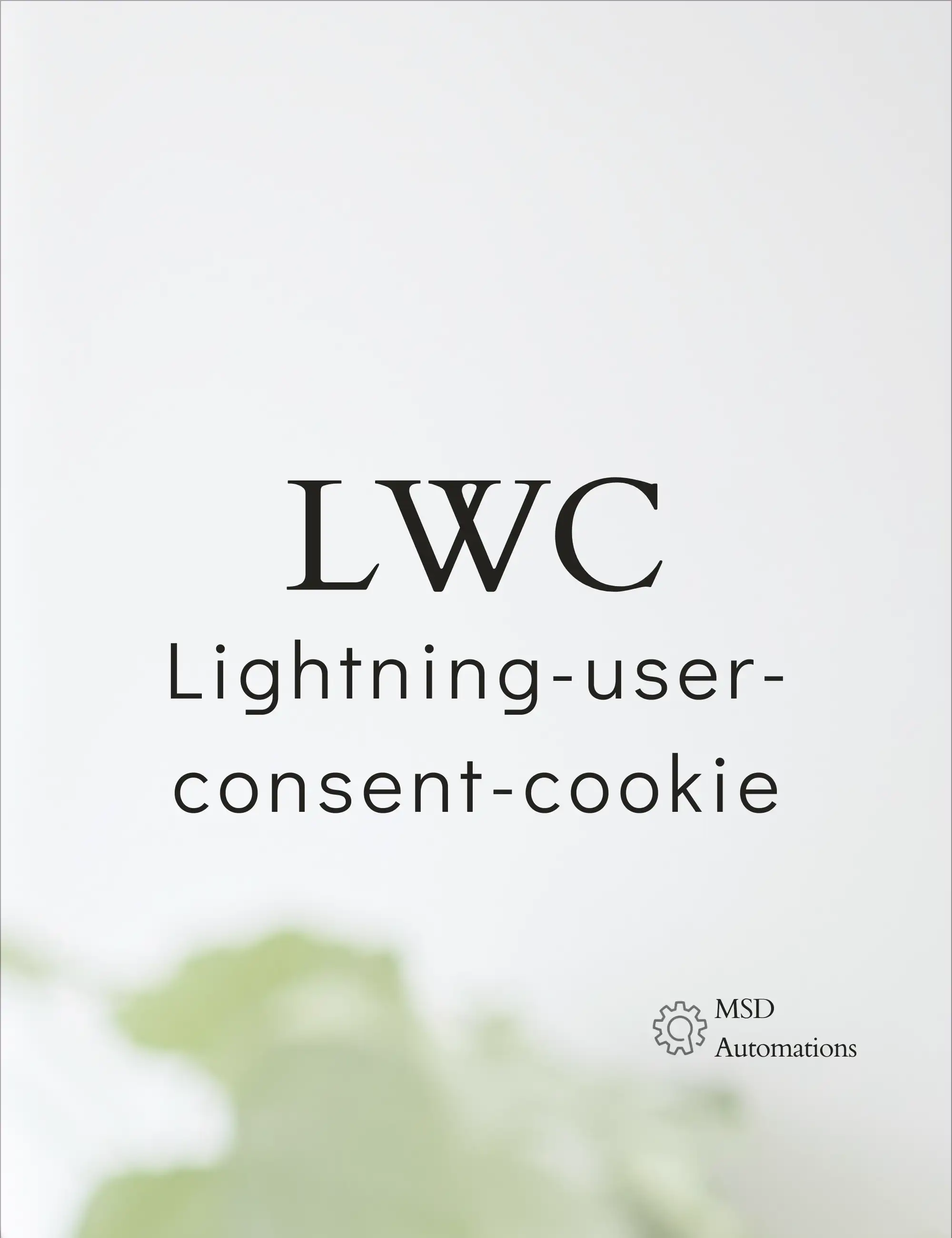 Lightning-user-consent-cookie