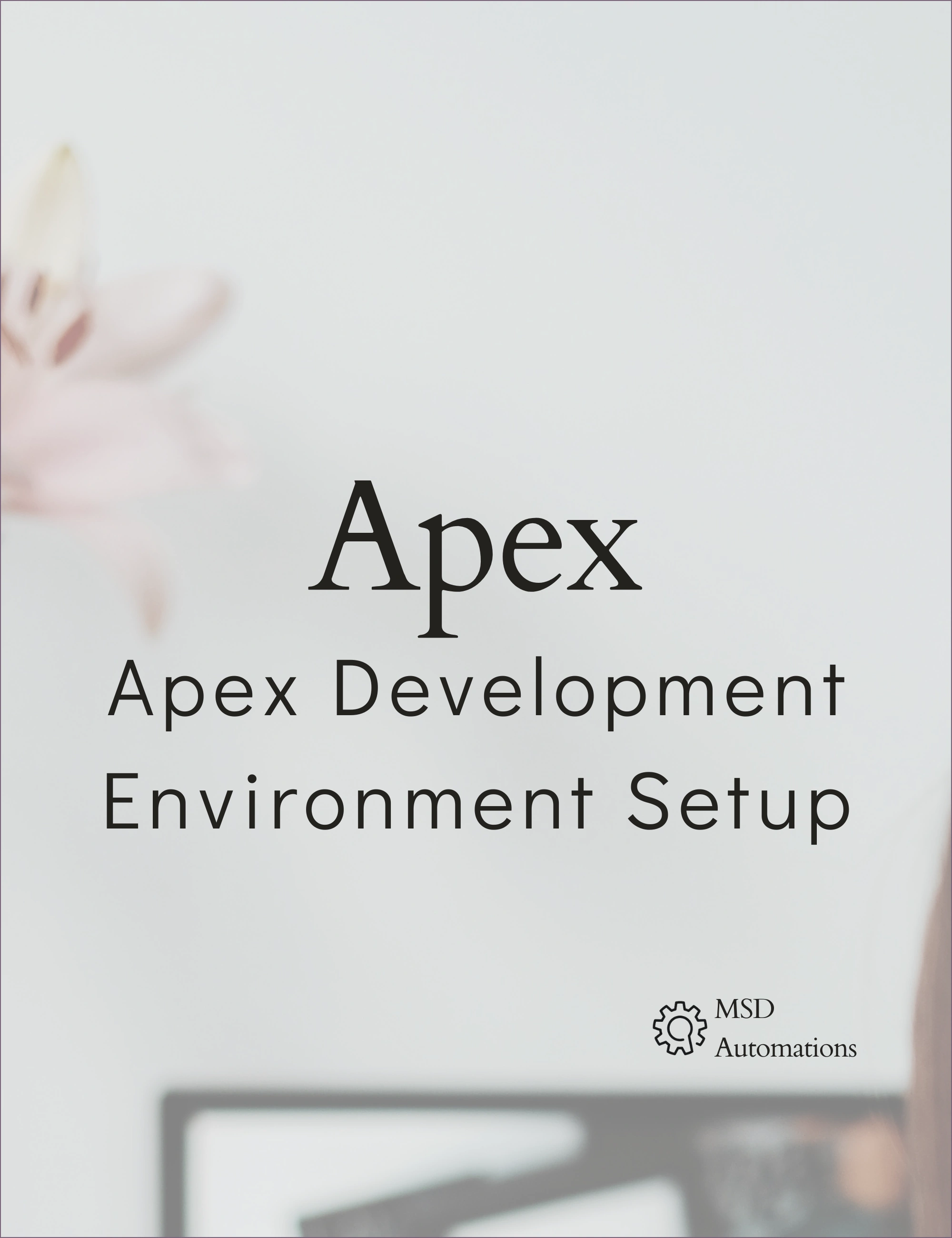 MSD Automations | Apex Development Environment Setup