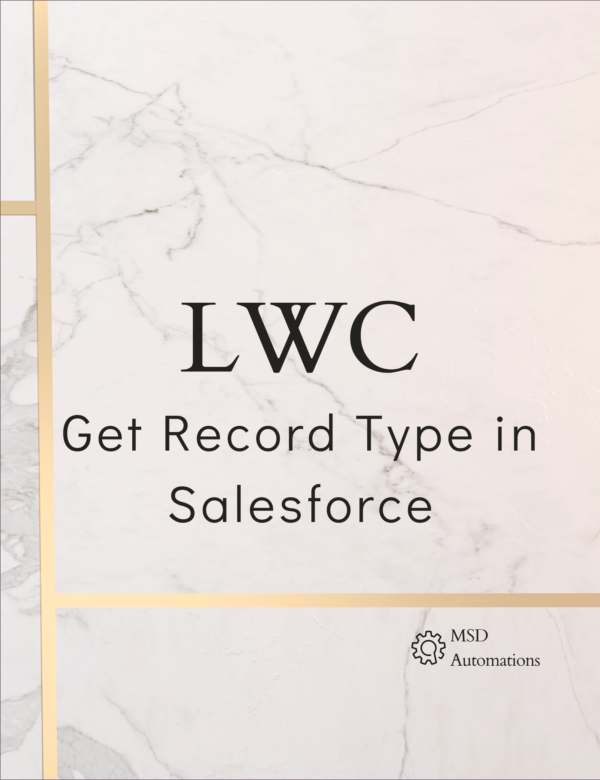 MSD Automations | Get Record Type in Salesforce