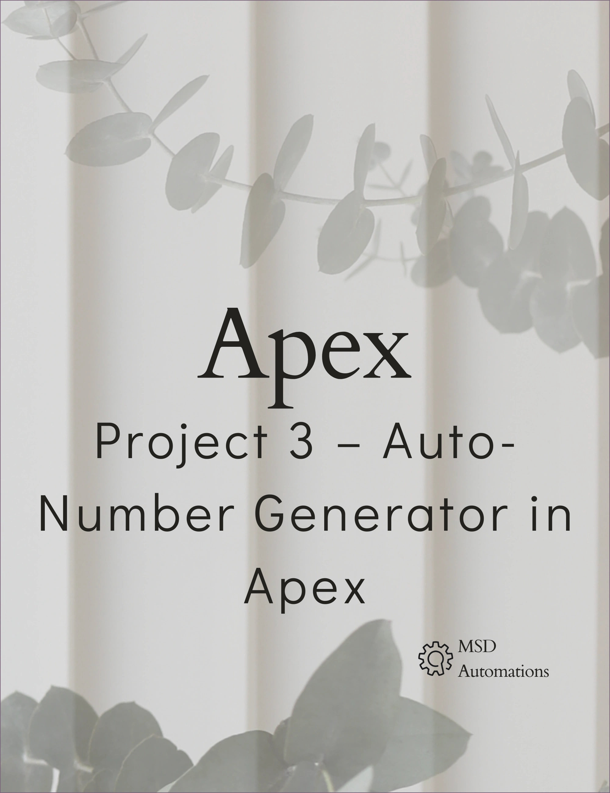 MSD Automations | Project 3 – Auto-Number Generator in Apex